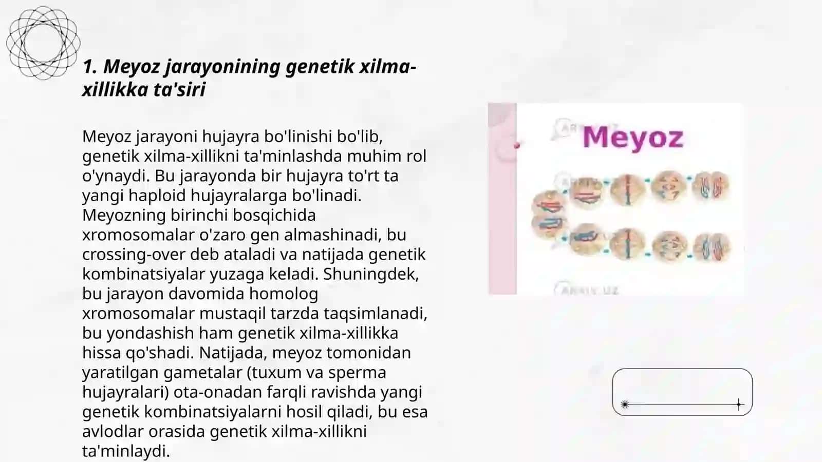 Meyozning biologik ahamiyati 3