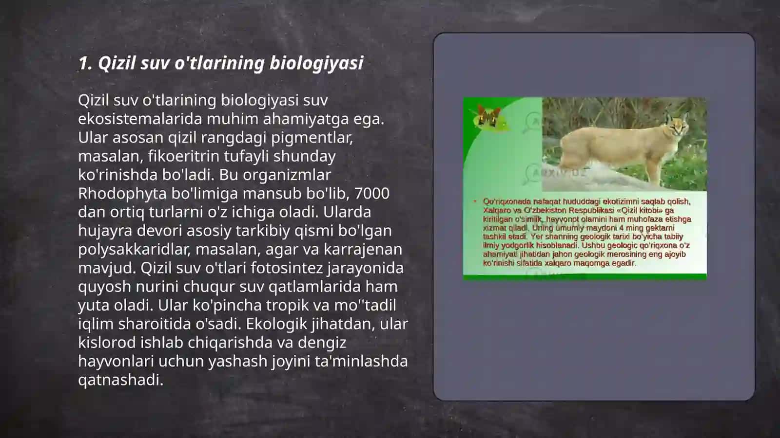 Qizil suv o'tlar biologiyasi 3