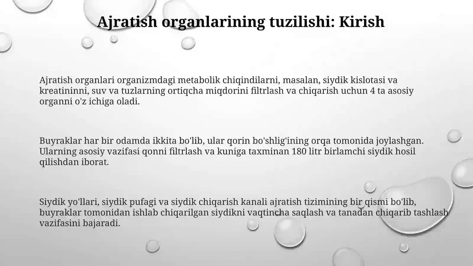Ayirish organlarining tuzilishi buyrakning tuzilishi 3