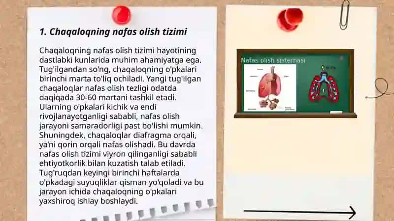 Chaqaloqlarning Birinchi Nafas Olish Mexanizmi 3