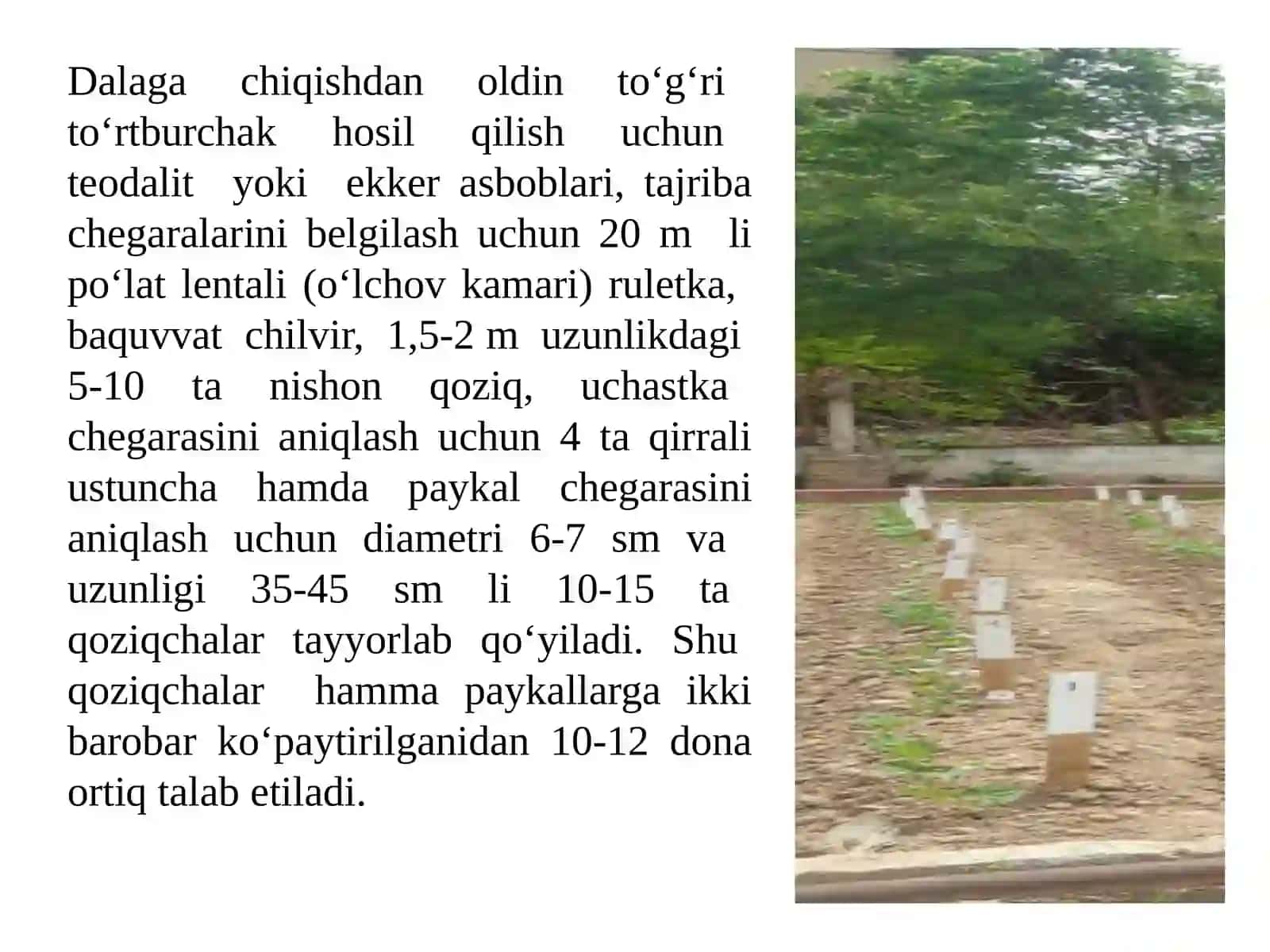 Ma’shg‘ulot rejasi 3