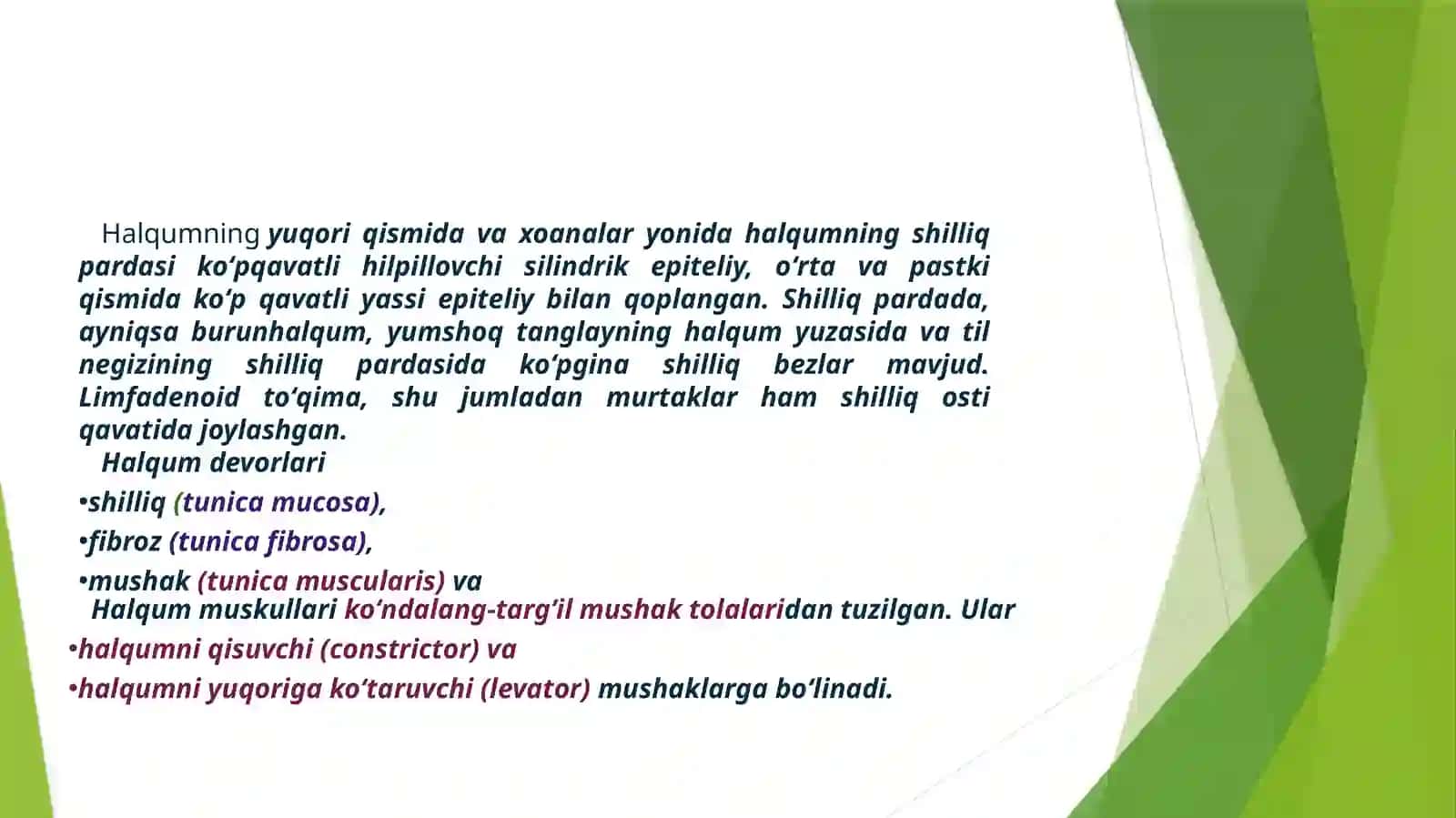 Halqumning klinik anatomiyasi. Halqum limfoadenoida] halqasining morfo-fiziologik Harakteristikasi. LOR a`zolarining yoshga qarab o*ziga xos tuzilishi, topografiyasi va bularning LOR a'zolari patologiyasida ahamiyati. Halqumni endoskopik tekshirish usullari. Faringoskopiya 3
