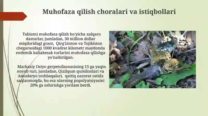 Muhofaza qilish choralari va istiqbollari 3