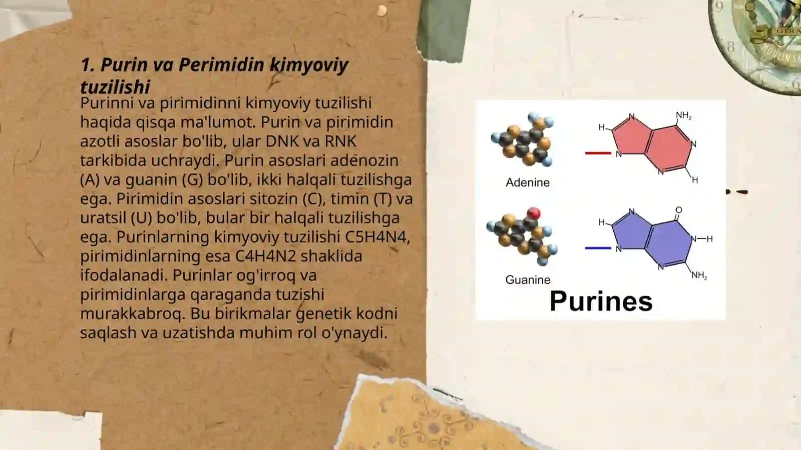 Purin va Perimedin asoslari 3