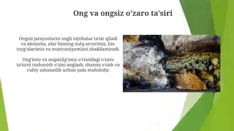 Ong taraqqiyoti va ongsizlik 3