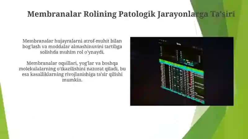 Membranalar Buzilishlarni Patalogik Jarayonni Kelib Chishidagi O'Rni 3