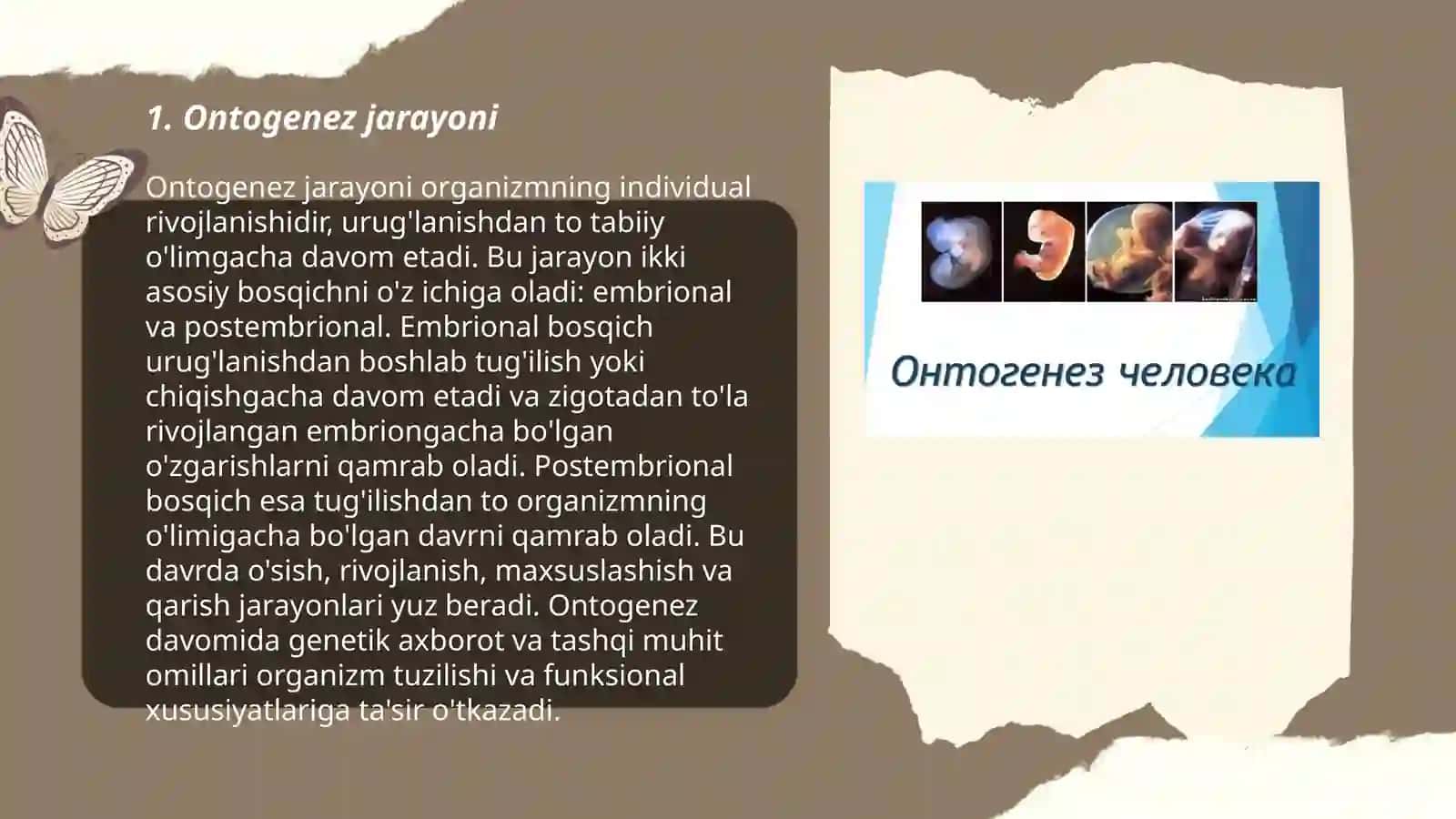 Ontogenez 3