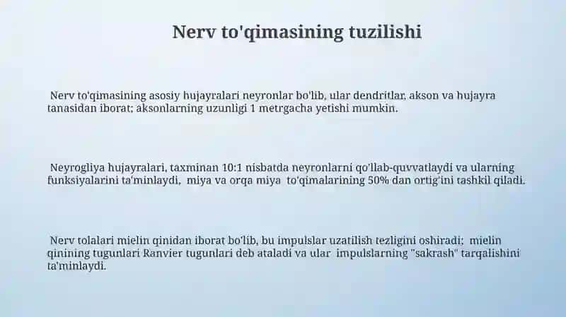 Nerv to'qimalarining strukturasi 3