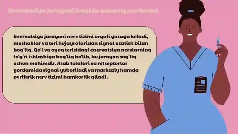 Qo'l va oyoq terini enervatsiyasi 3