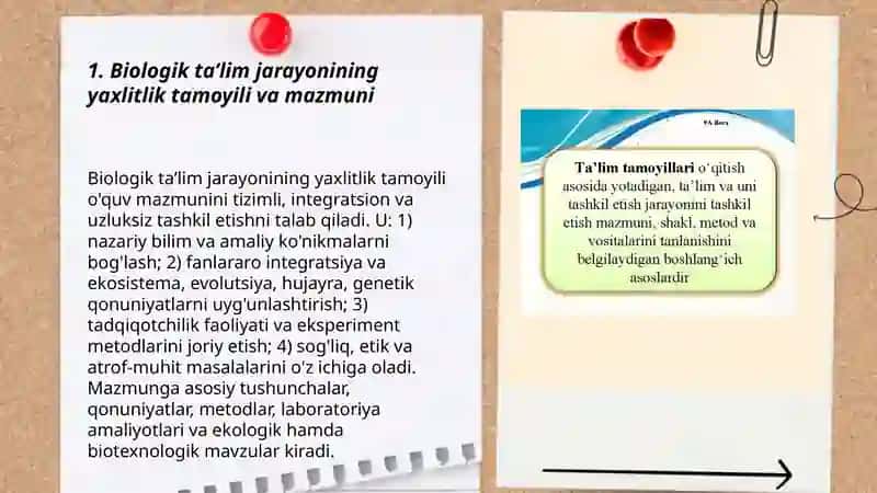 Biologik ta’lim jarayonining yaxlitligi, o`qitish prinsiplari va qonuniyatlari 3