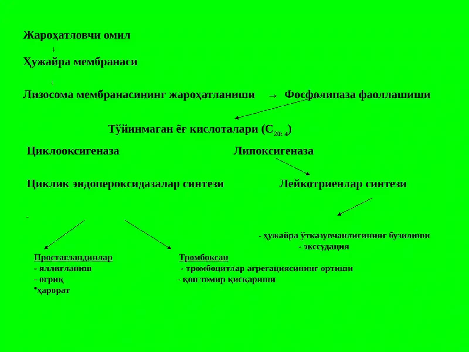 Яллиғланиш ва аллергияга қарши дори воситалари 3