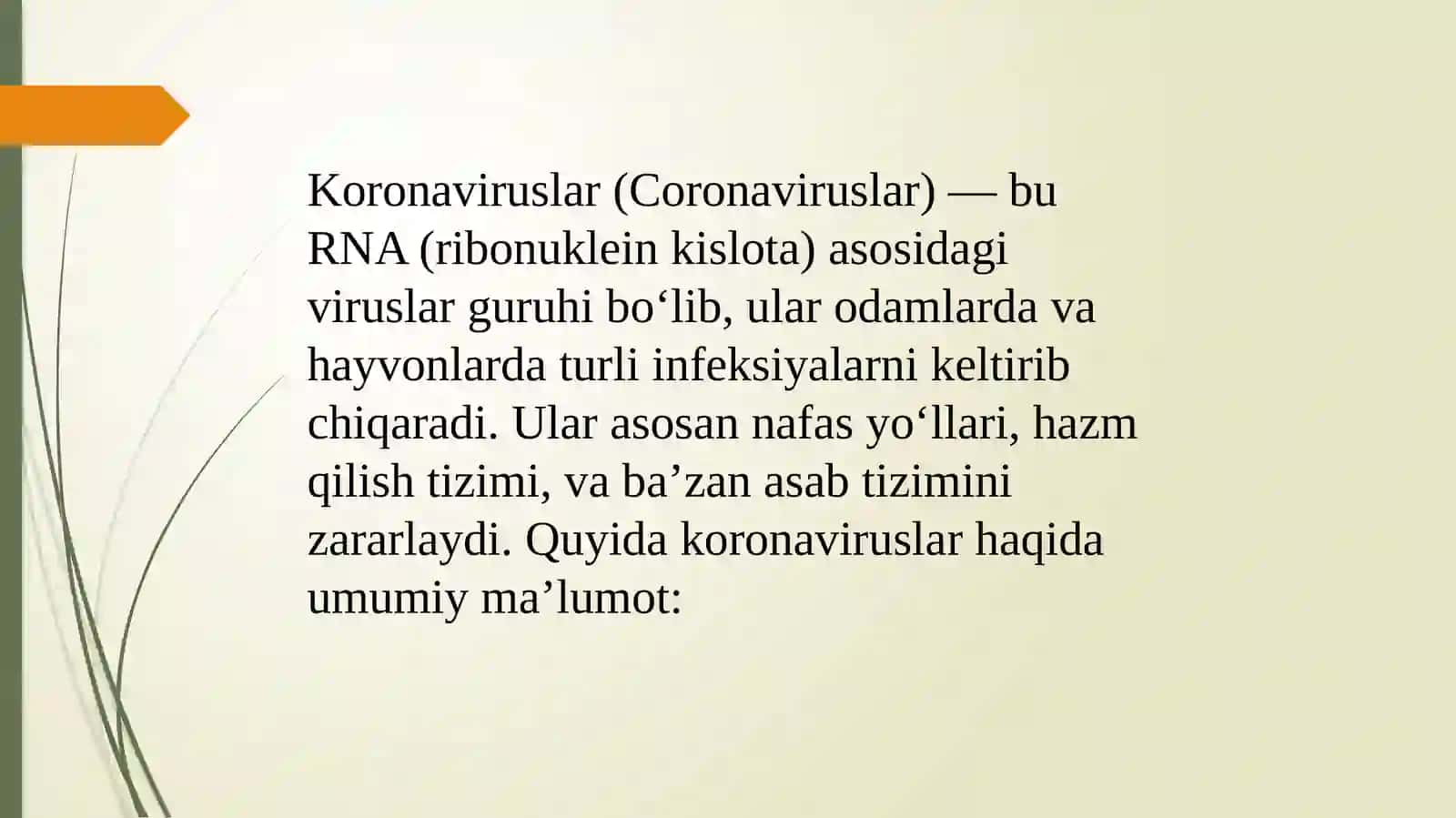 Koronaviruslar va ularning hozigika muammolari 3