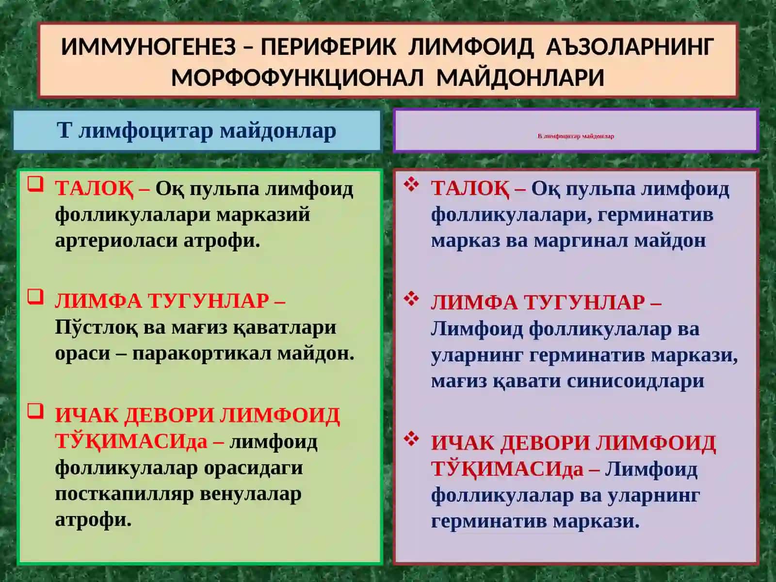 ИММУНОГЕНЕЗНИНГ СХЕМАТИК ТАСВИРИ 3