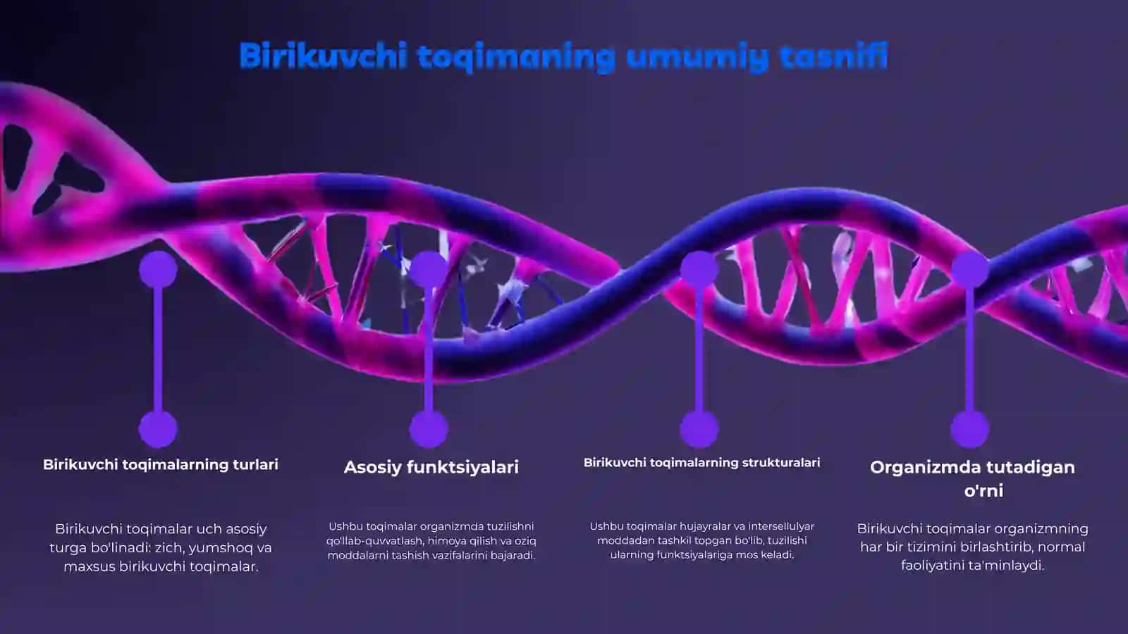 Birikuvchi Toqimalarning Tuzilishi 3