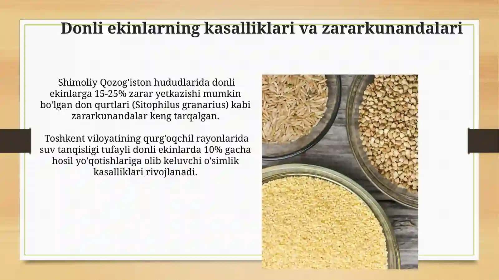 Dala ekinlarning guruhlarga bo'linishi. G'alla ekinlarining umumiy tavsifi 3