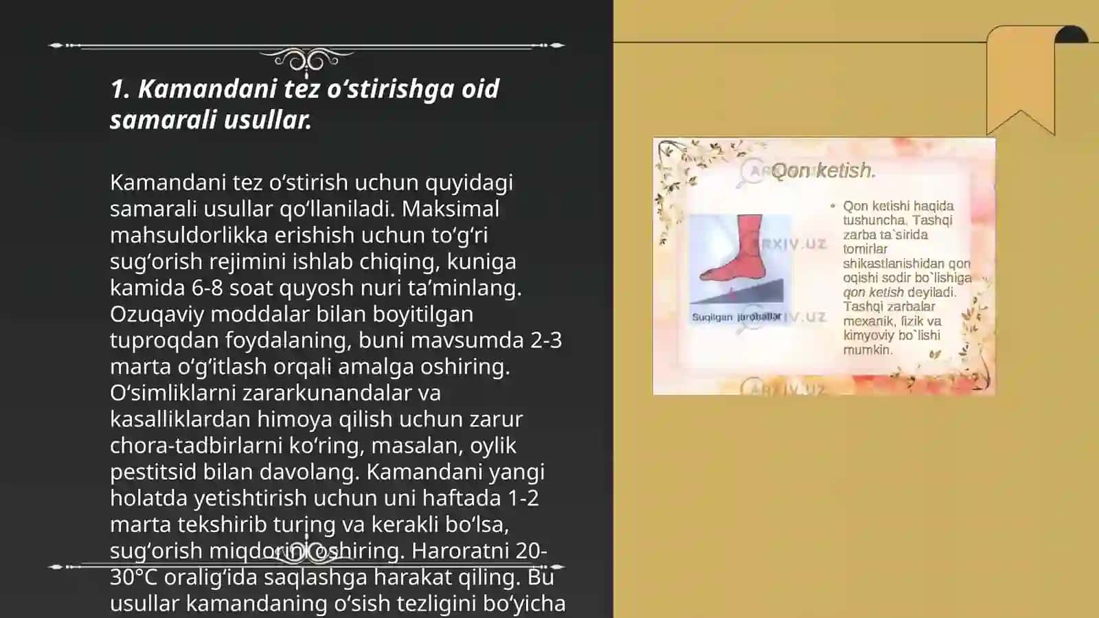 Kamandani tez oʻstirish 3