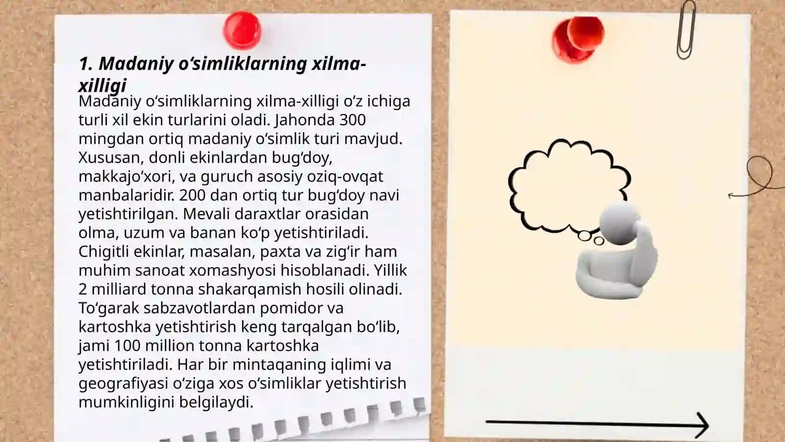 Madaniy o‘simliklarning kelib chiqish markazlari 3