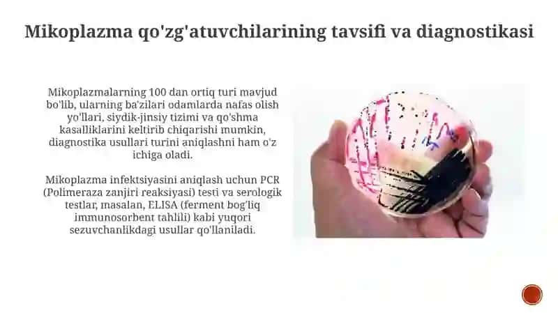 Mikoplazma qo'zg'atuvchilarining tavsifi va diagnostikasi 3