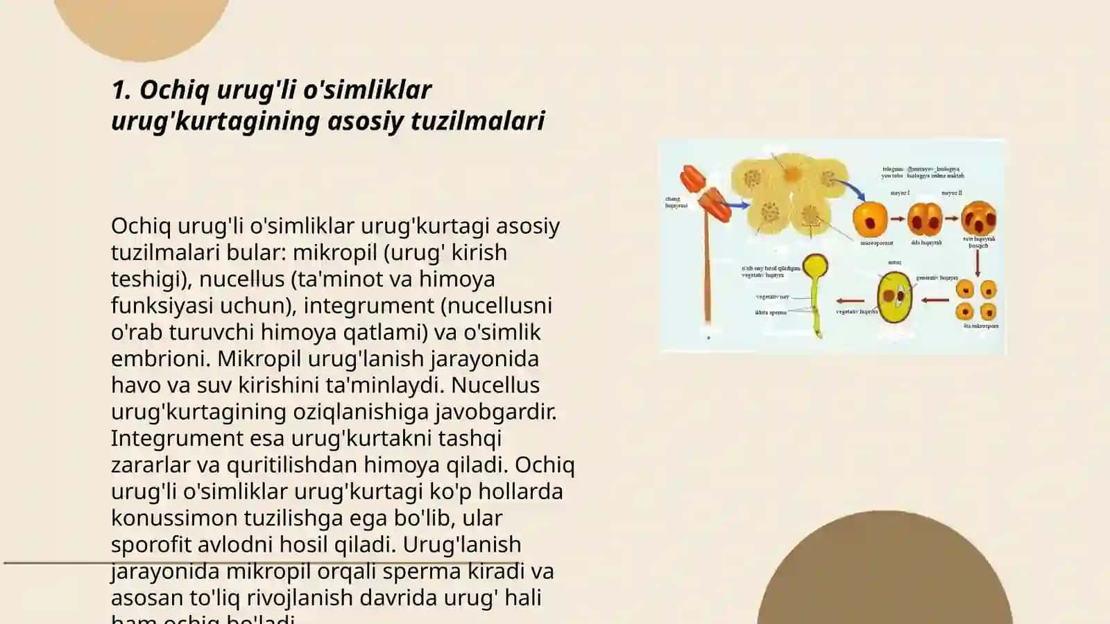 Ochiq va yopiq urug'li o'simliklar urug'kurtagining tuzilishi uning qismlarini o'xshashlik va farqlari 3