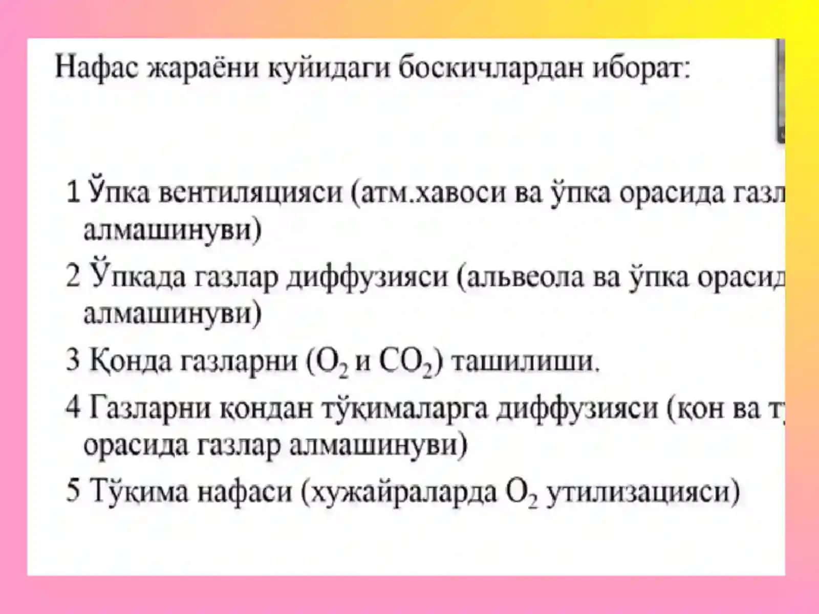 Ташқи нафас 3