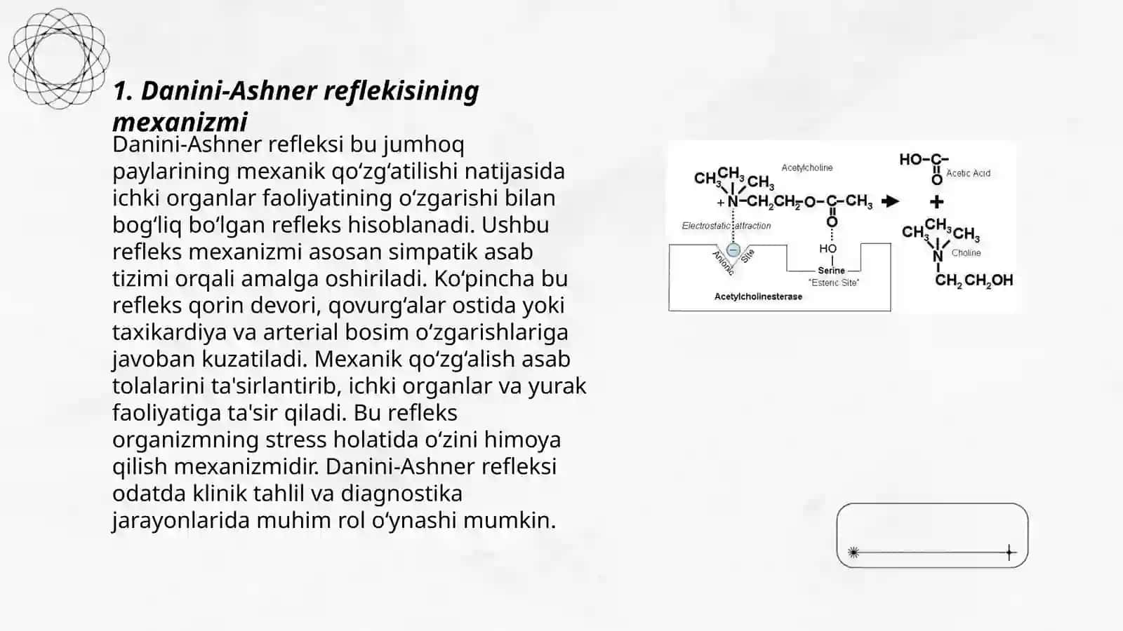 Danini-Ashner reflekisi. Baqa yuragiga Ca+, K+ ionlarining va adrenalin, atsetilxolin ta'siri 3