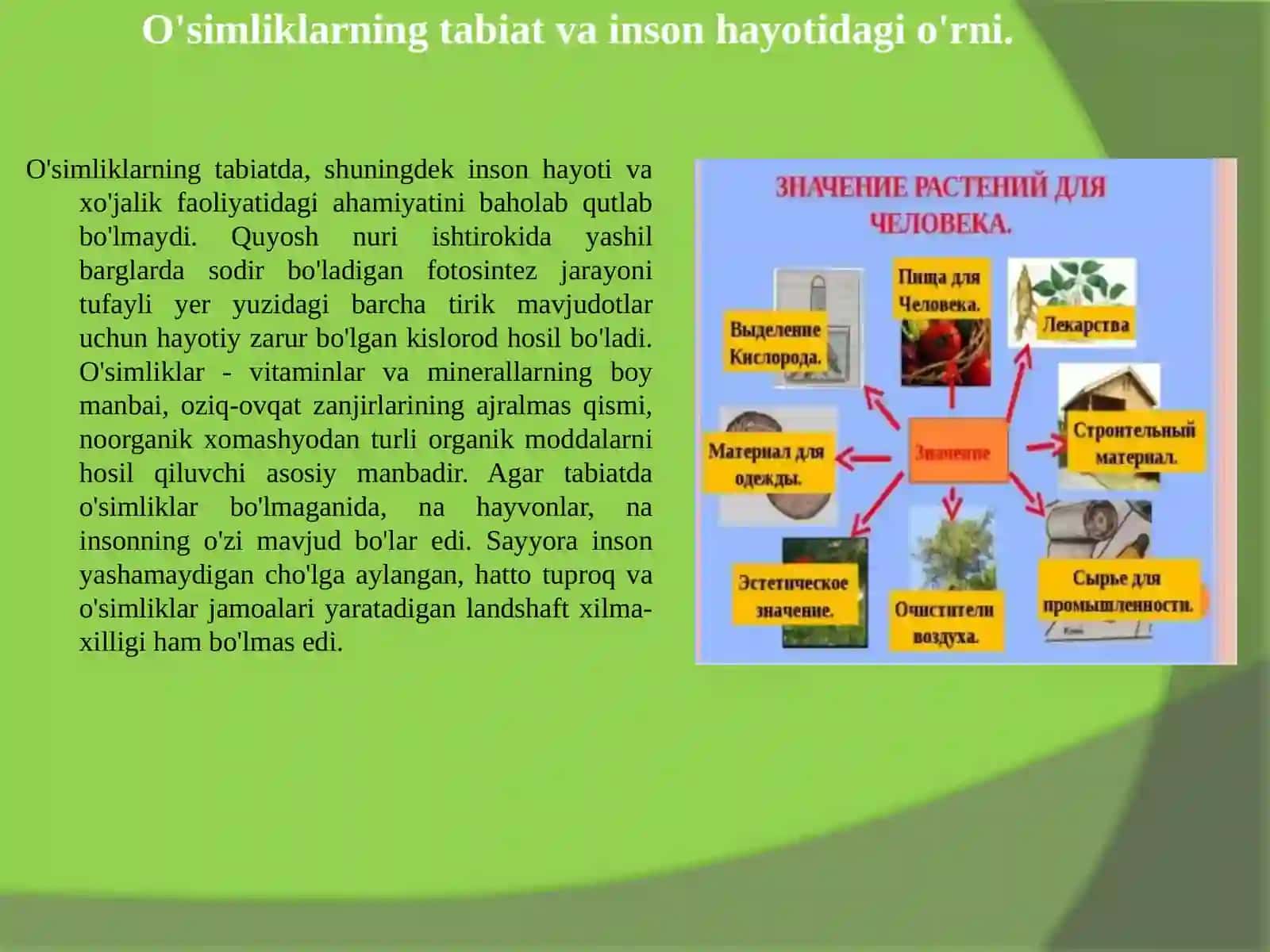 Biologiya - O'simliklarni himoya qilish loyihasi 3