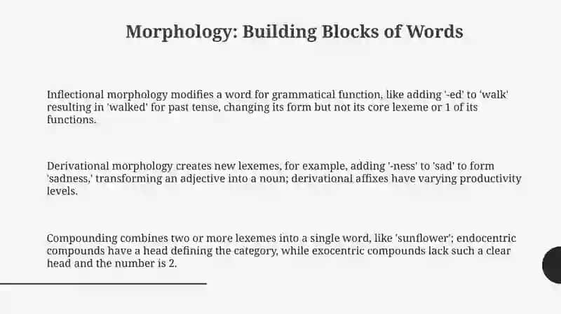Inflectional, derivational morphology 3
