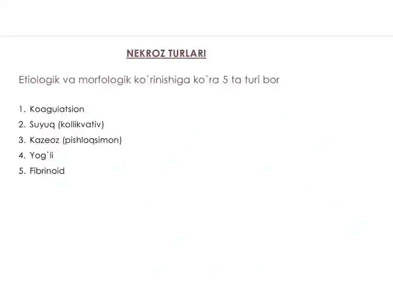 Nekroz 3