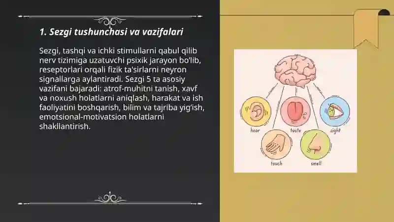 Sezgi haqida 3
