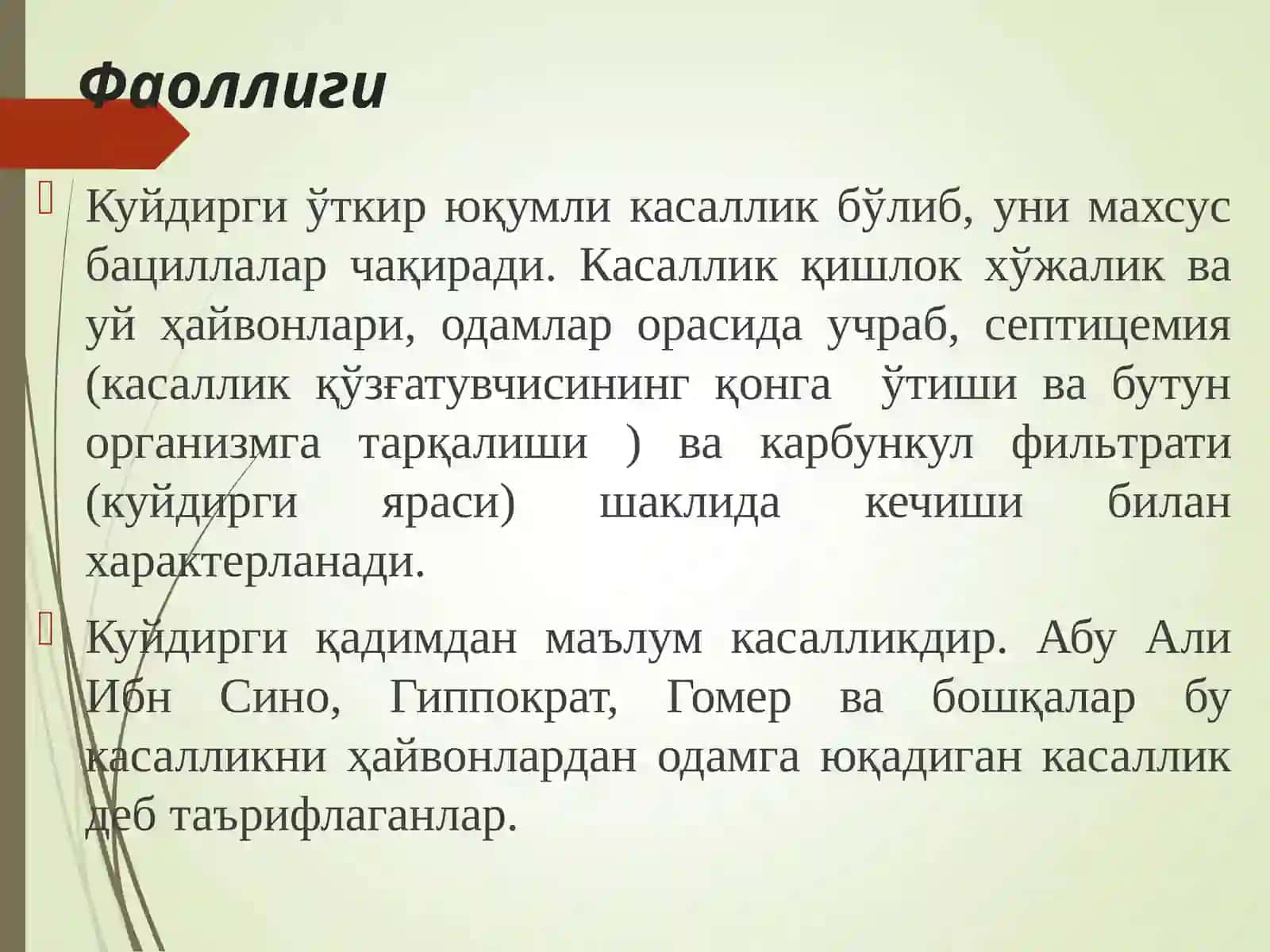 Куйдирги 3