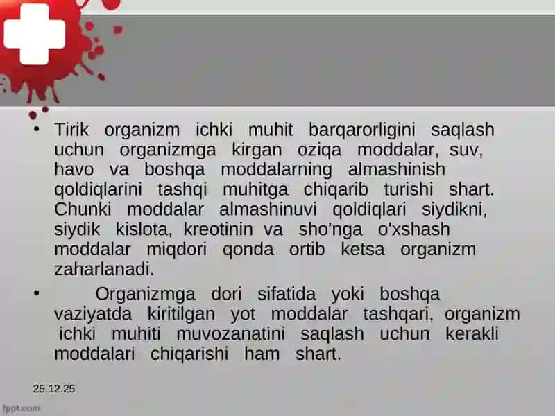 Ayiruv organlari 3