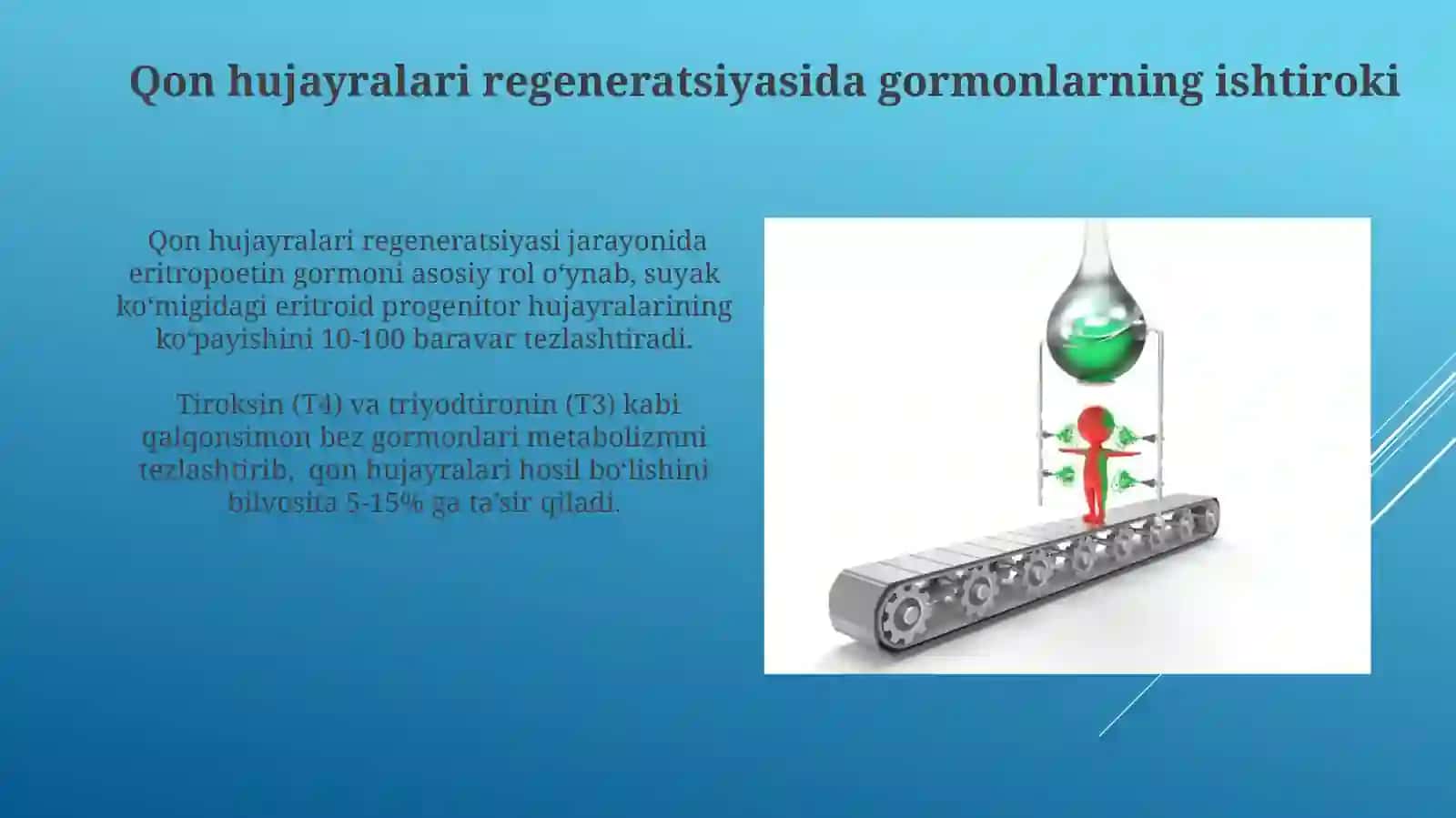 Qon hujayralarini fizialagik va perireativ regiriniratsiyasi mehanizimlari 3