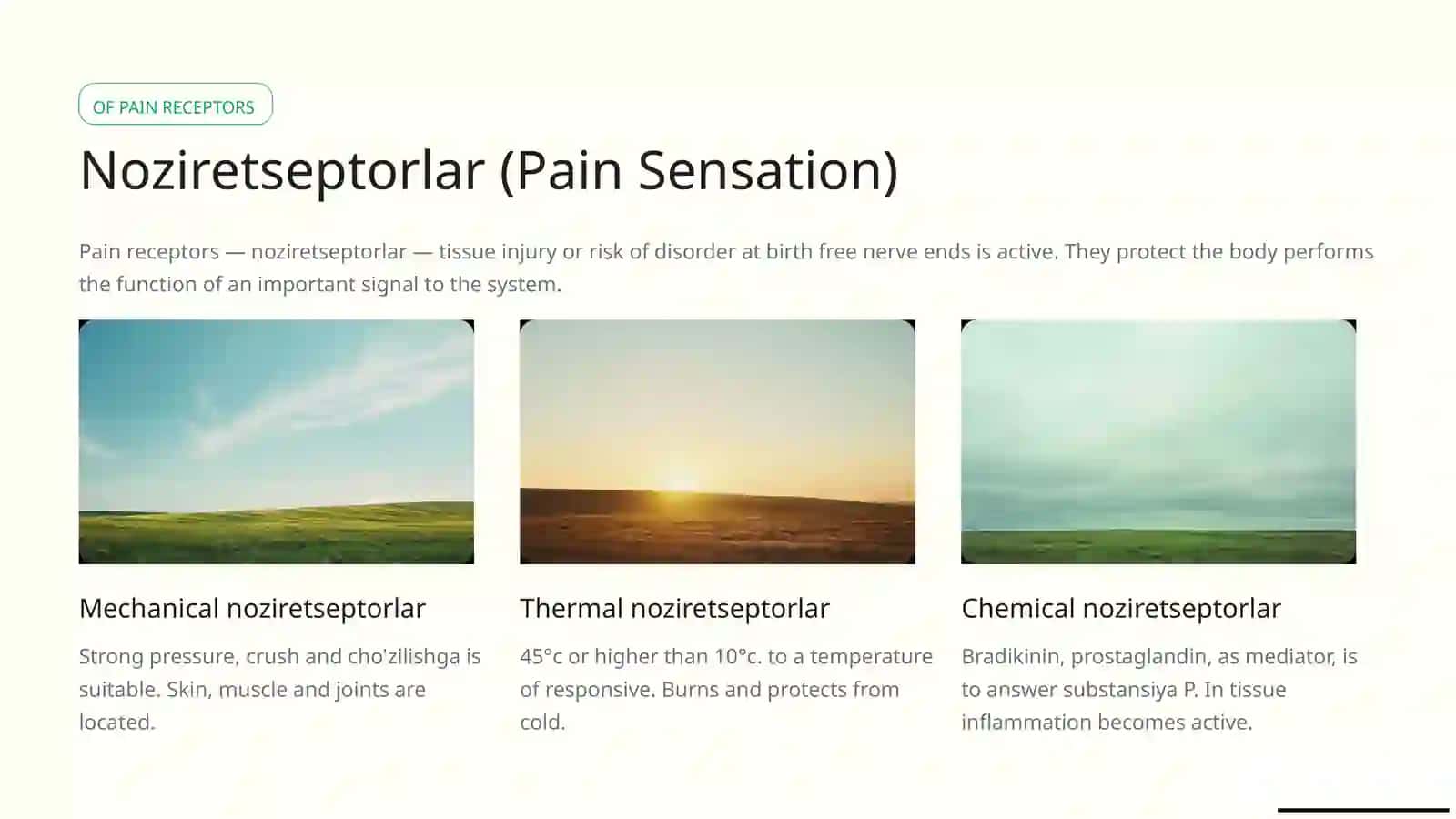 Analizator system 3