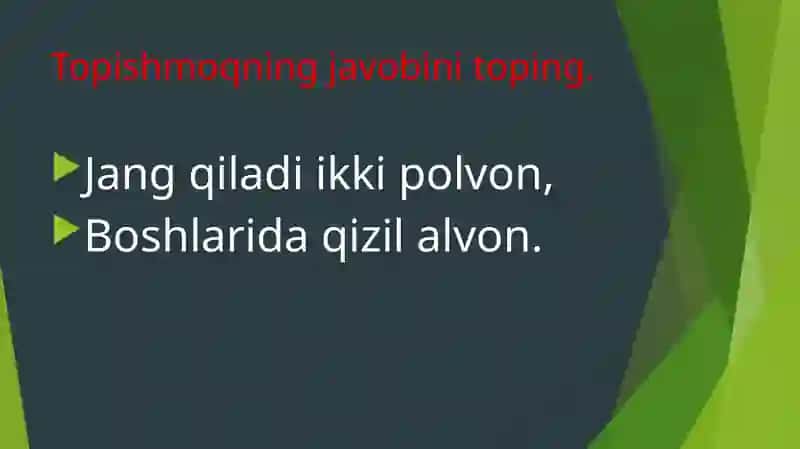 Sutemizuvchilar Sinfi 3