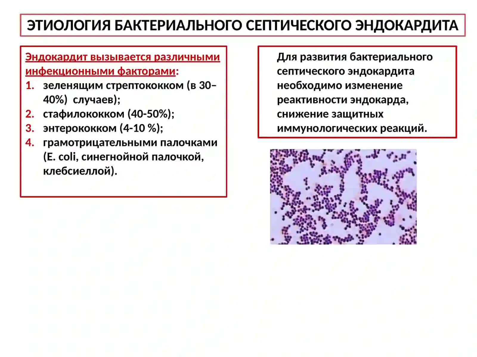Бактериальный Септический Эндокардит, Определение 3
