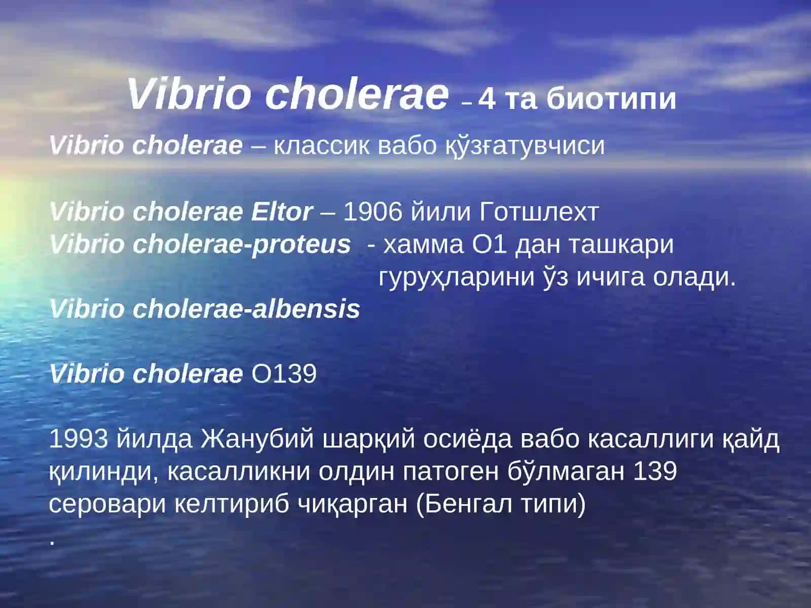Vibrio cholerae 3