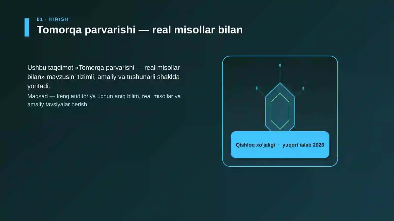 Tomorqa parvarishi — real misollar bilan 3