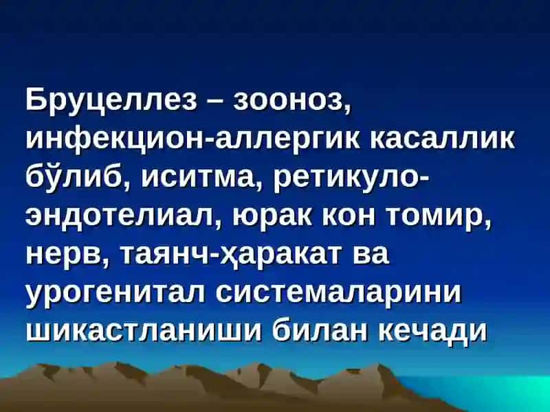 Бруцеллез 3