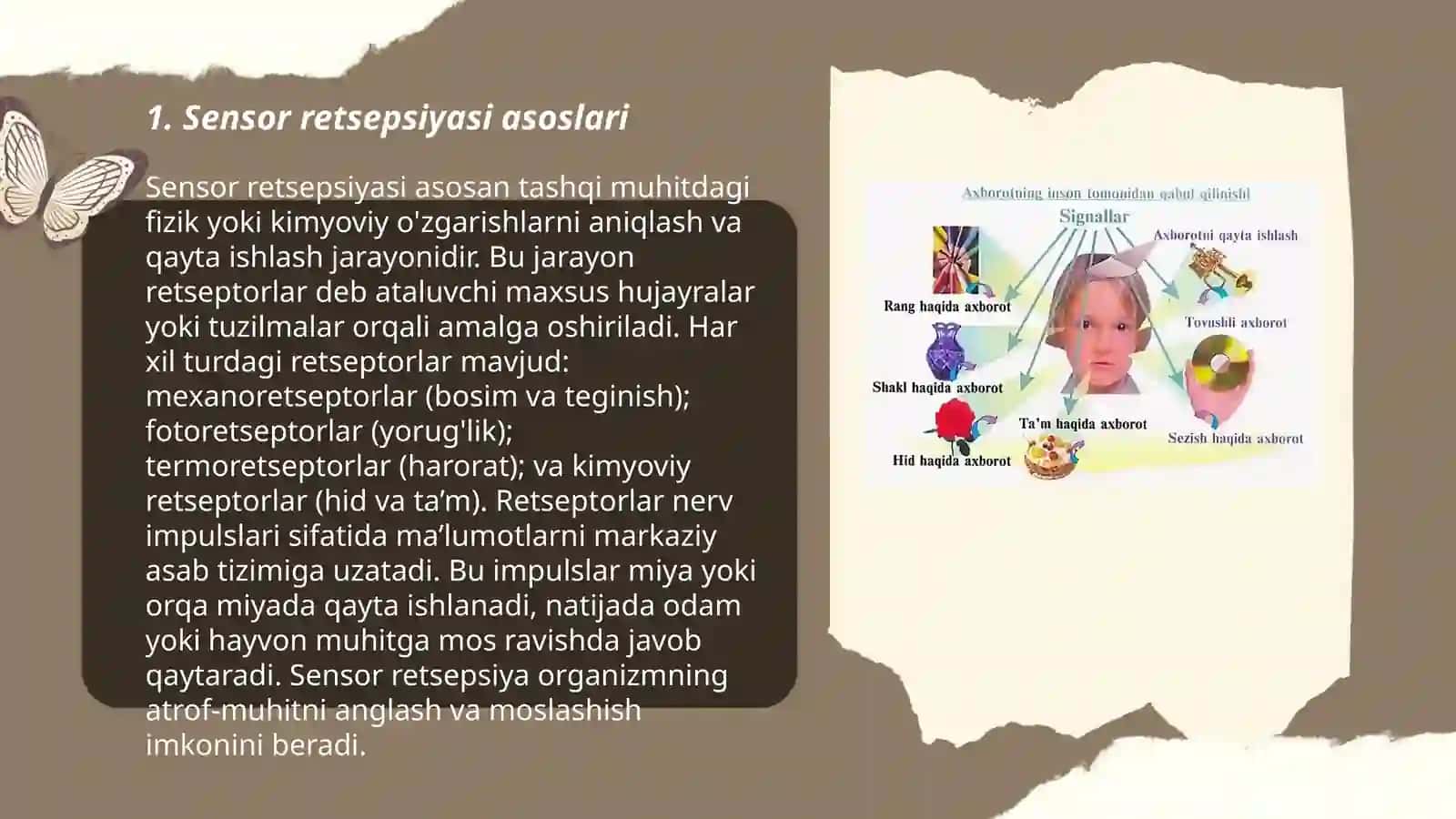 Sensor retsepsiyasi. Teri analizatorlari lokolizatsiyasini aniqlash 3