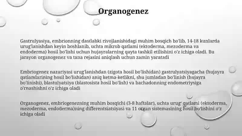 Filembriogenez nazariyasi 3