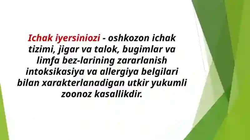 Ichak Iersinozi etiologiyasi, patogenezi va davolash 3