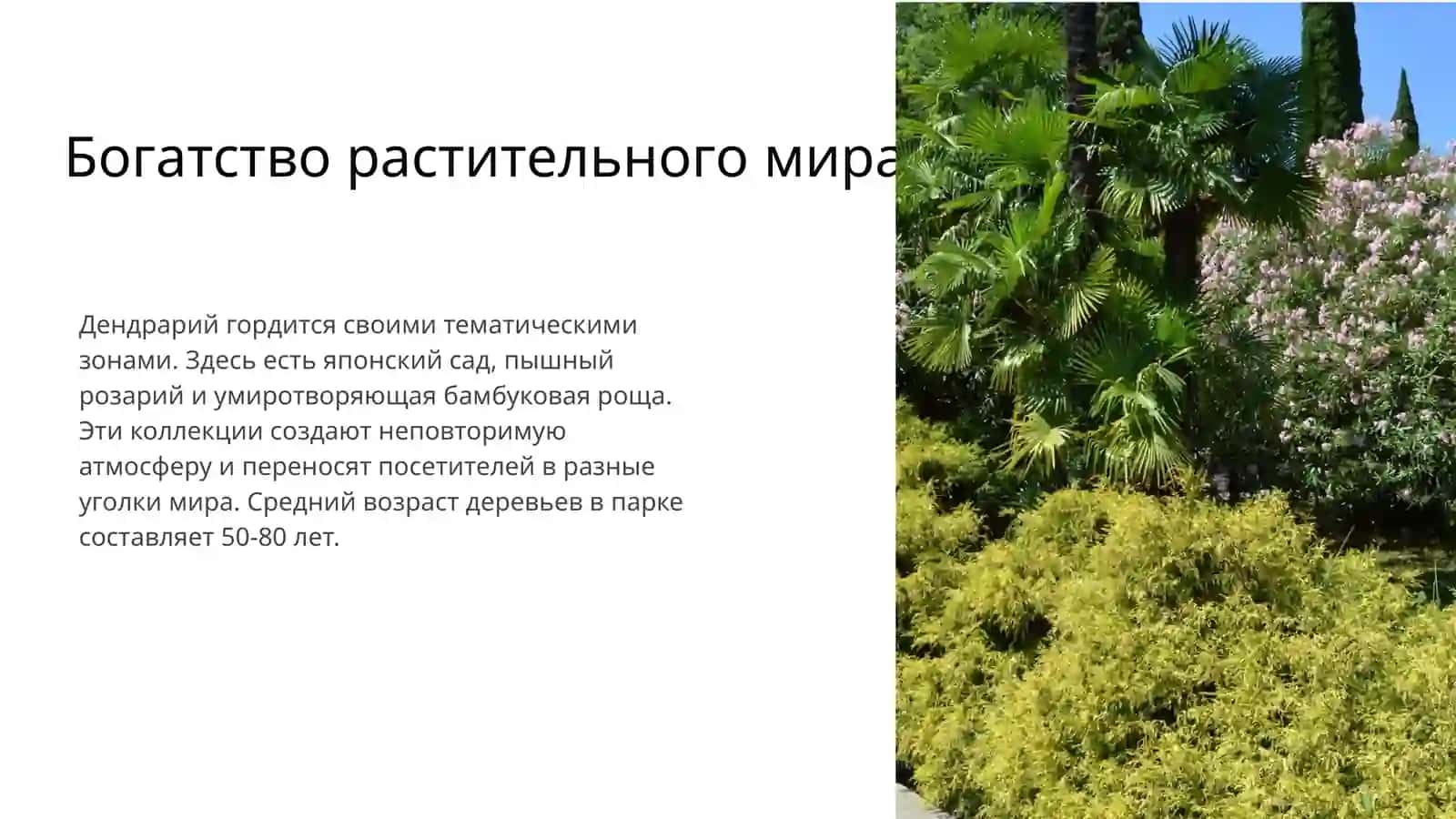 Дендрарий 3