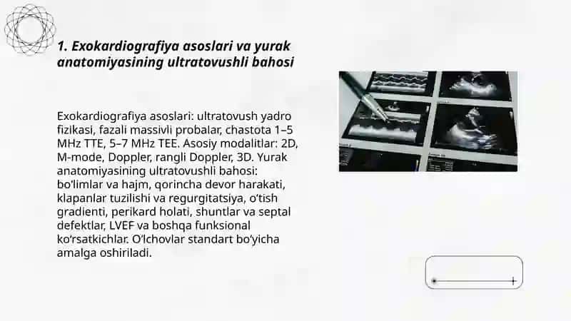 Exokardiografiya 3