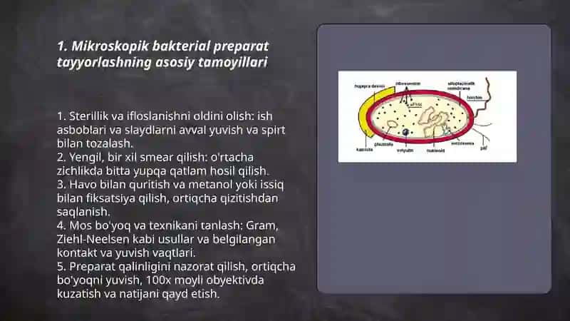 Bakterial preparatlarni tayyorlash va bakteriyalarni boʻyash usullari 3