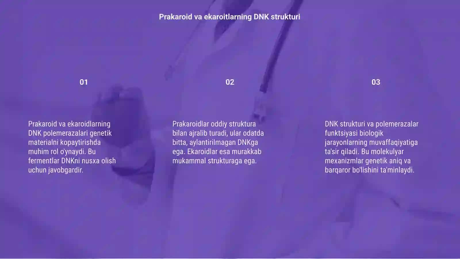 Prakaroid va ekaroitlarning DNK polemerazalari 3