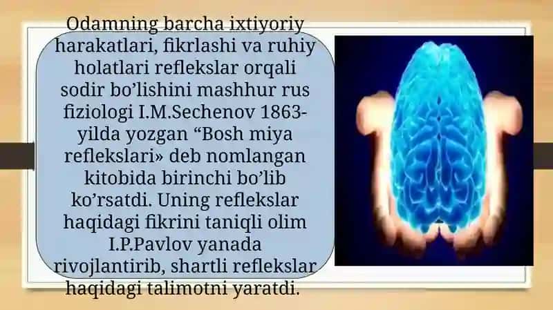 Oliynerv faoliyati 3