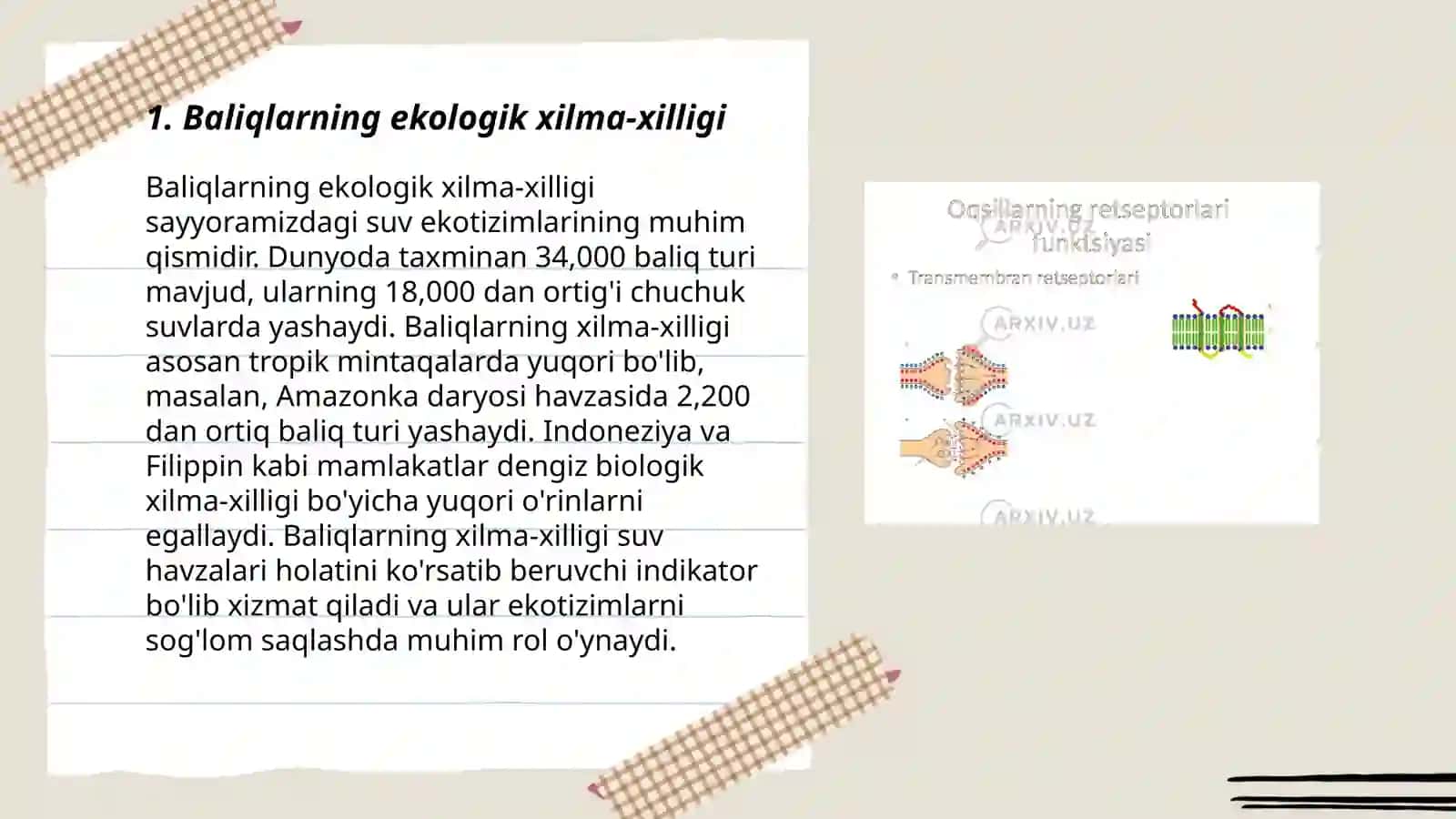 Umurtqali hayvonlarning xilma-xilligi. Baliqlar Amfibiyalar va reptiliyalar 3