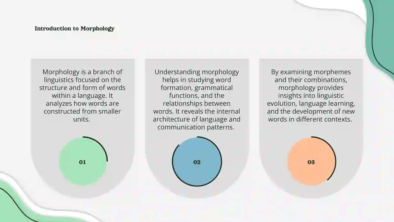 Morphology 3
