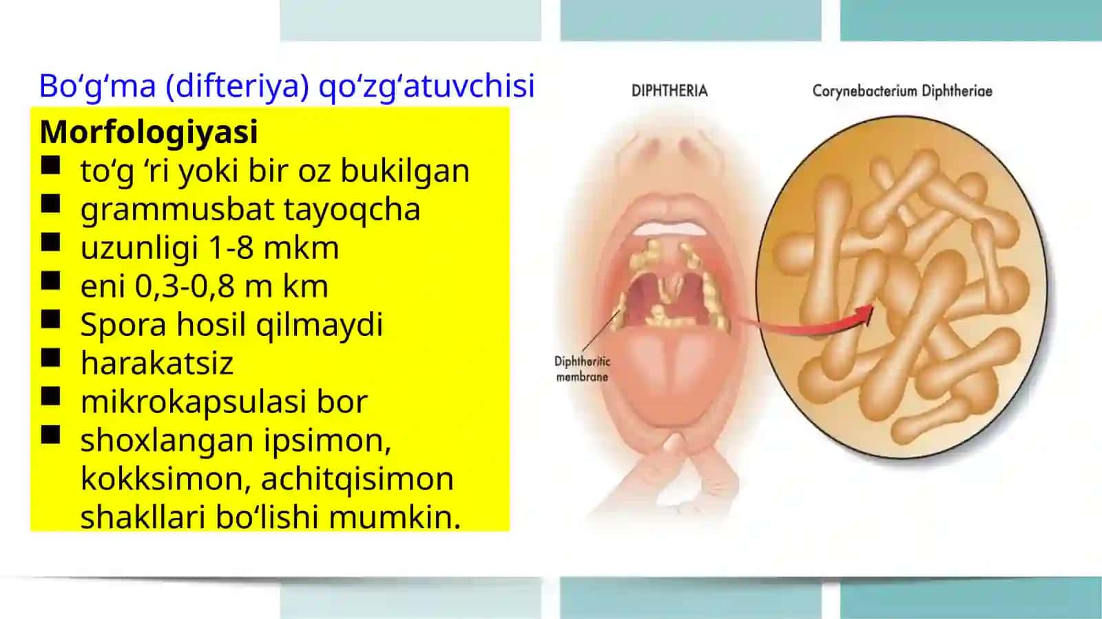 Havo tomchi infeksiyasi bogʻma koʻk yoʻtal sil tasnifi 3