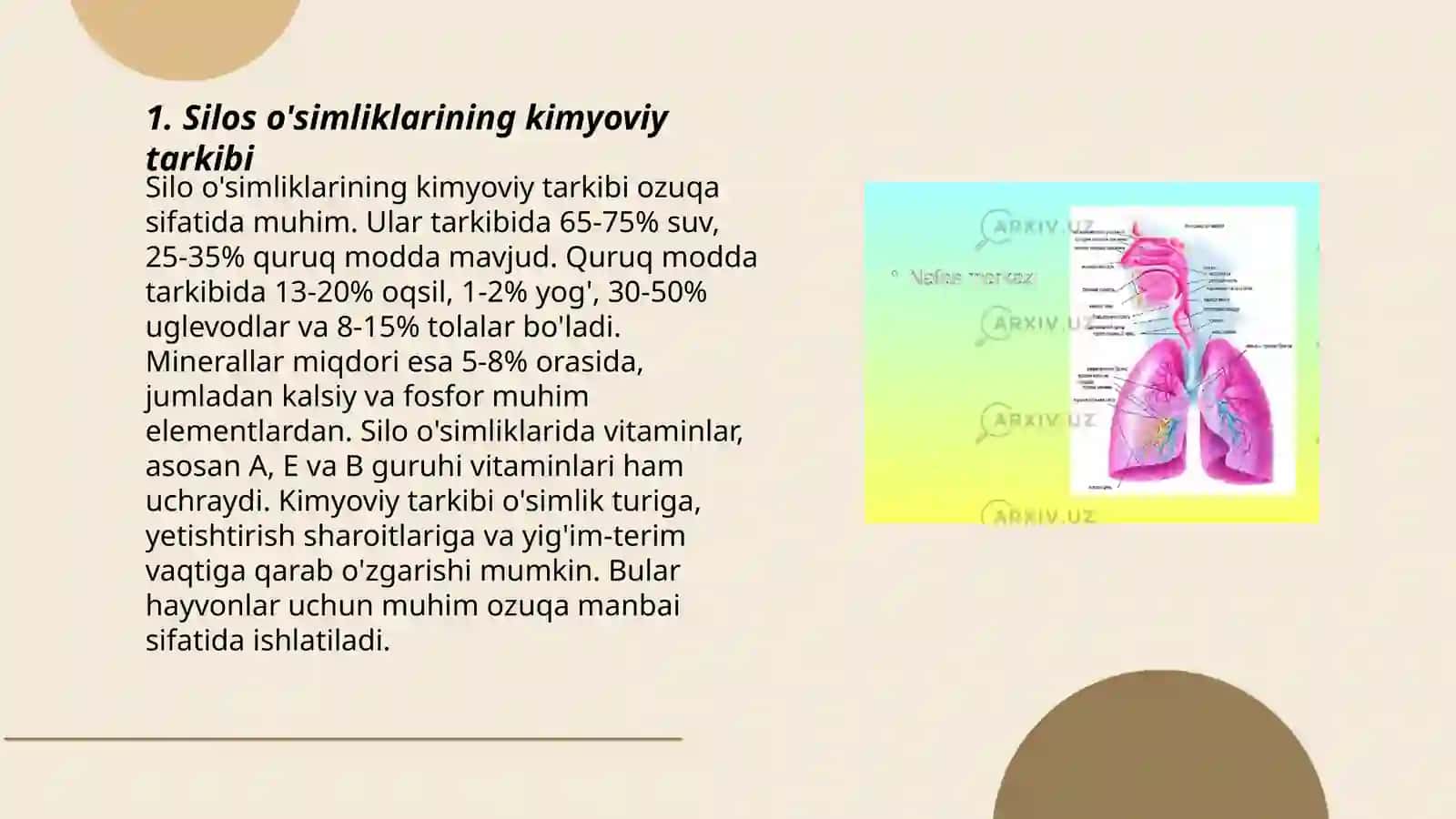 Silos, sinajbop o'simliklar fiziologiyasi 3